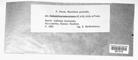 Image Associated With the Occurence